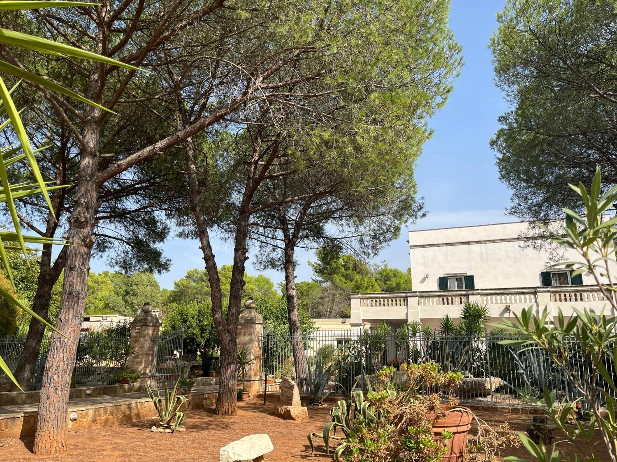 Masseria La Camardia Sava 外观 照片