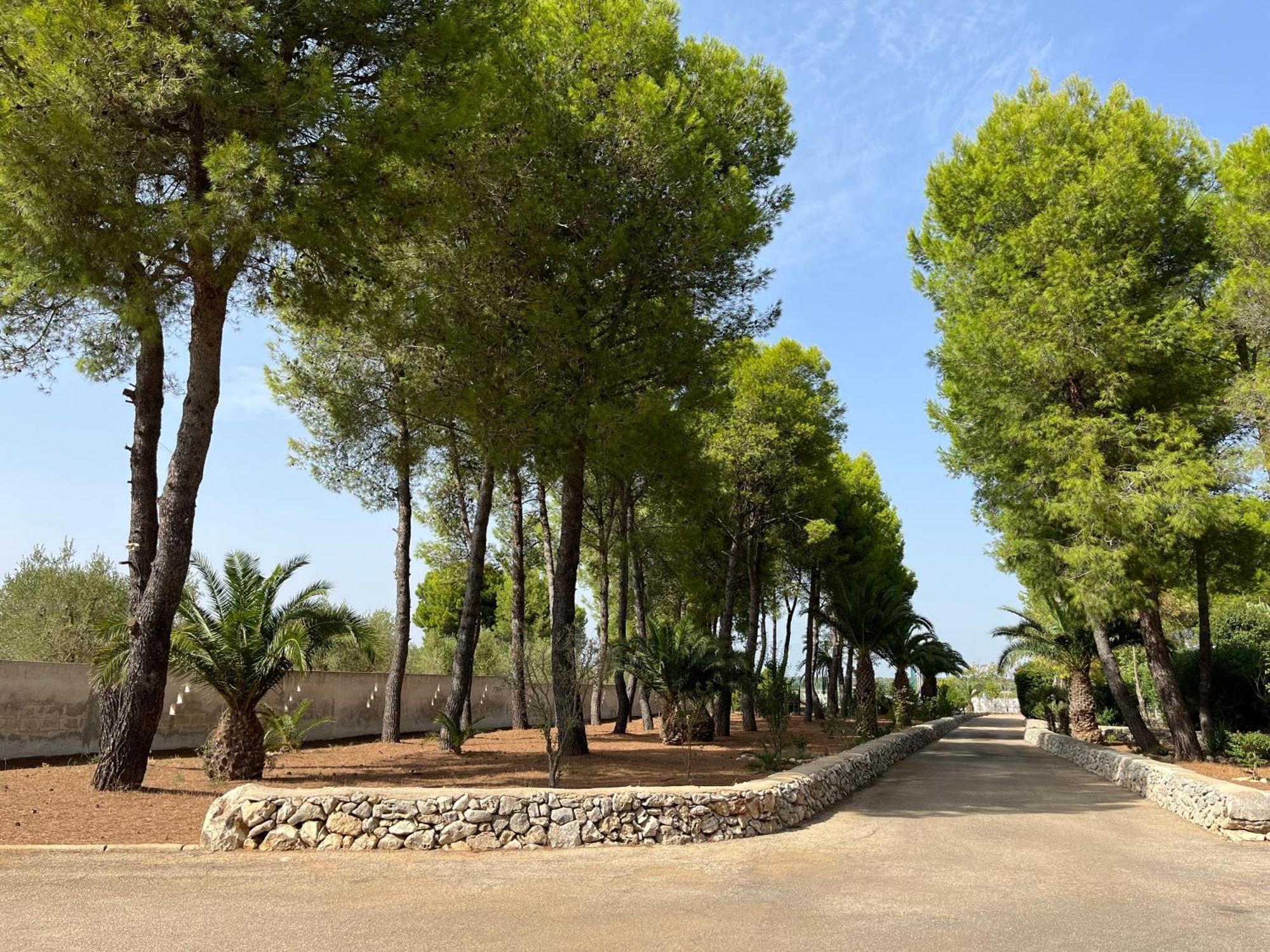 Masseria La Camardia Sava 外观 照片