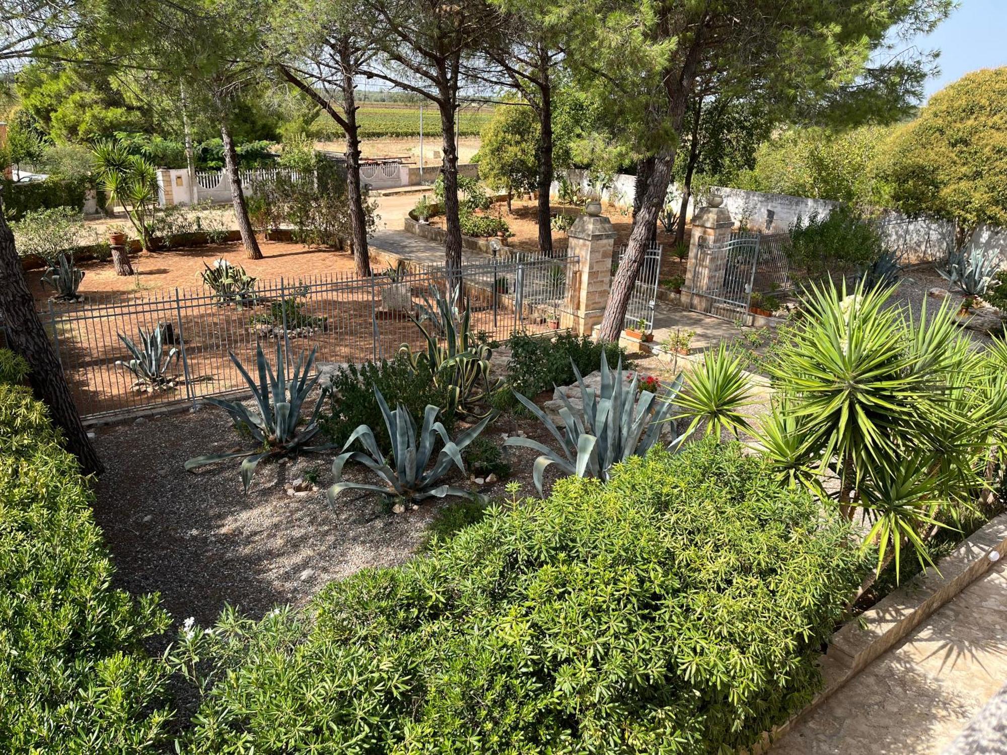 Masseria La Camardia Sava 外观 照片